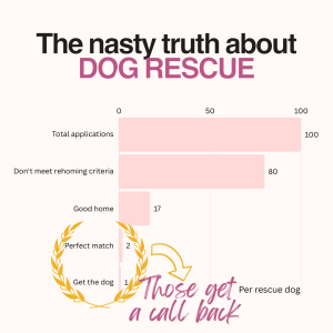 Graphic showing the percentage when applying for a dog: 80% don't meet the criteria, 20% are good homes, out of those, 3% are a perfect match, but only one gets the dog